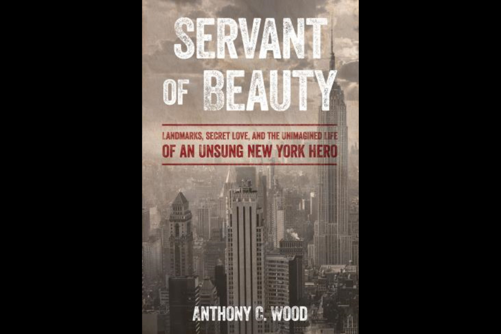 Cover of a book with the New York City Skyline